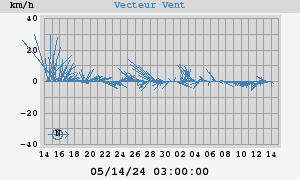 Wind Vector