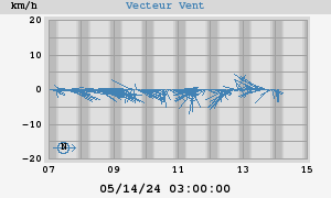 Wind Vector