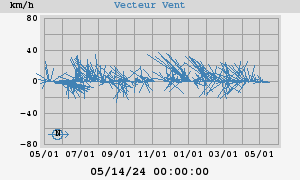 Wind Vector